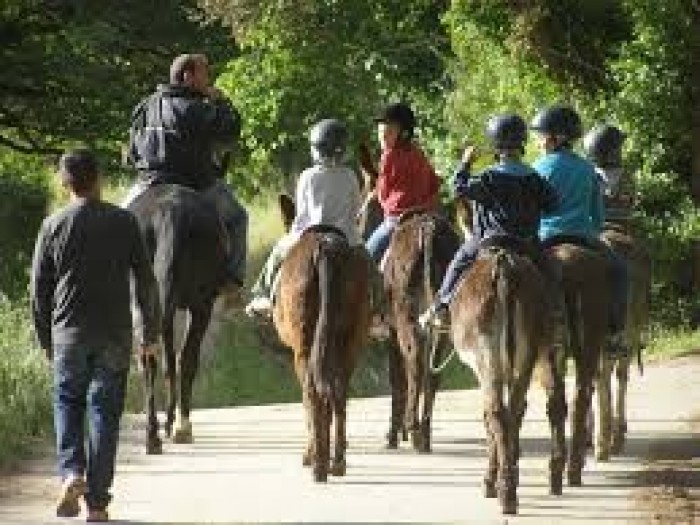 School trips and youth travel in the Costa Brava